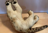 Antique Steiff Leopard Cub - thumbnail 4 of 5