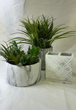 Decorative Vases, Planters, and Faux Plants - thumbnail 3 of 3
