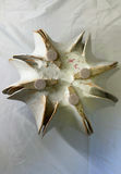 Fall Decor - thumbnail 4 of 6