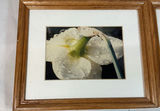 4 Framed Photos And Pencil Drawing - thumbnail 5 of 8
