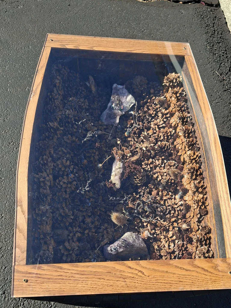 Unique Barrel Wood and Acrylic Display Coffee Table, Super Cool Piece! - image 3 of 6