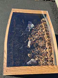 Unique Barrel Wood and Acrylic Display Coffee Table, Super Cool Piece! - thumbnail 3 of 6