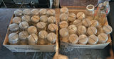 Huge Lot of Vintage Ball & Atlas Mason Jars - thumbnail 1 of 3
