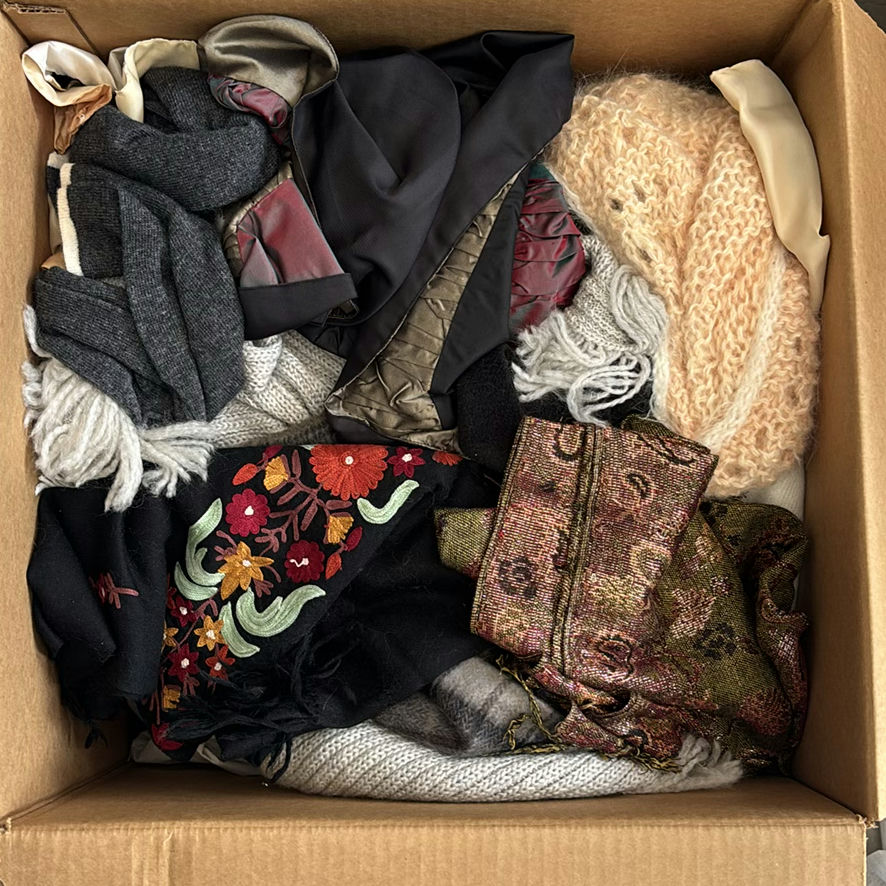 Assorted Scarves and Royal Worcester Fine Bone China Plates - image 1 of 8
