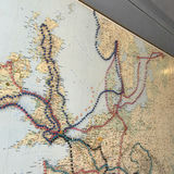 European travel map with colored pins - thumbnail 4 of 5