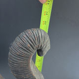 Dark elephant statue with raised trunk - thumbnail 3 of 8