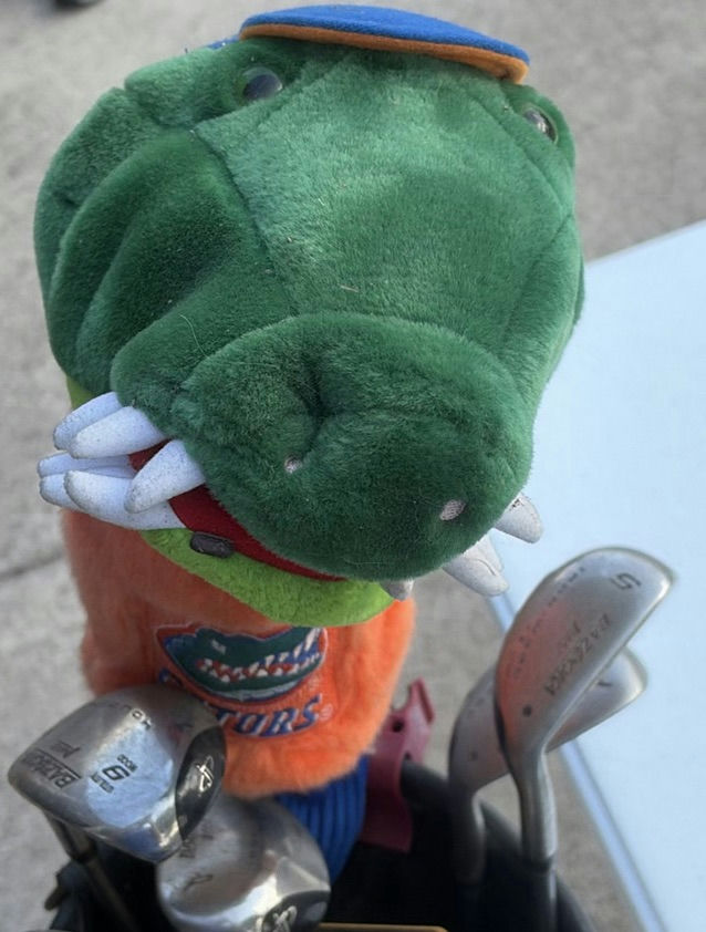 Golf bag with clubs and assorted accessories - image 9 of 12