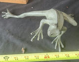 Two straw-skirted masked figures with a green frog sculpture - thumbnail 4 of 4