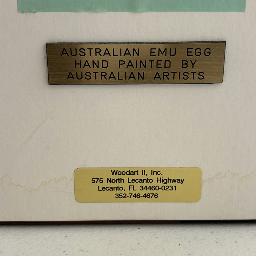 Framed Australian Emu Egg Artwork with Feathers - image 6 of 6