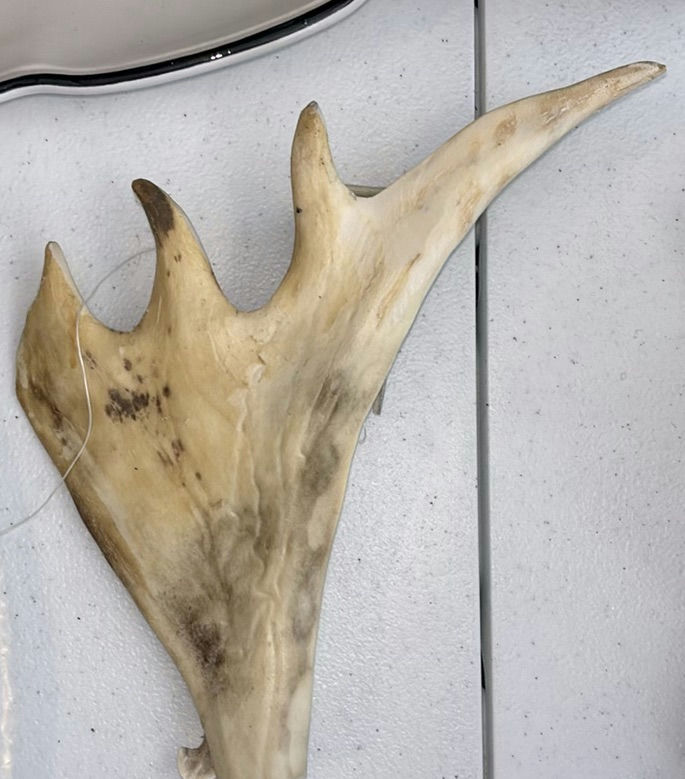 Assorted Ceramic and Glass Serving Pieces with Antler Decor - image 5 of 13
