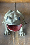 Vintage wooden display stand with slotted compartments and frog sculpture - thumbnail 9 of 9