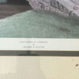 Two Framed Prints: Bulldog Portrait and Old Course St. Andrews - thumbnail 4 of 6