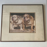 Two Framed Prints: Bulldog Portrait and Old Course St. Andrews - thumbnail 2 of 6