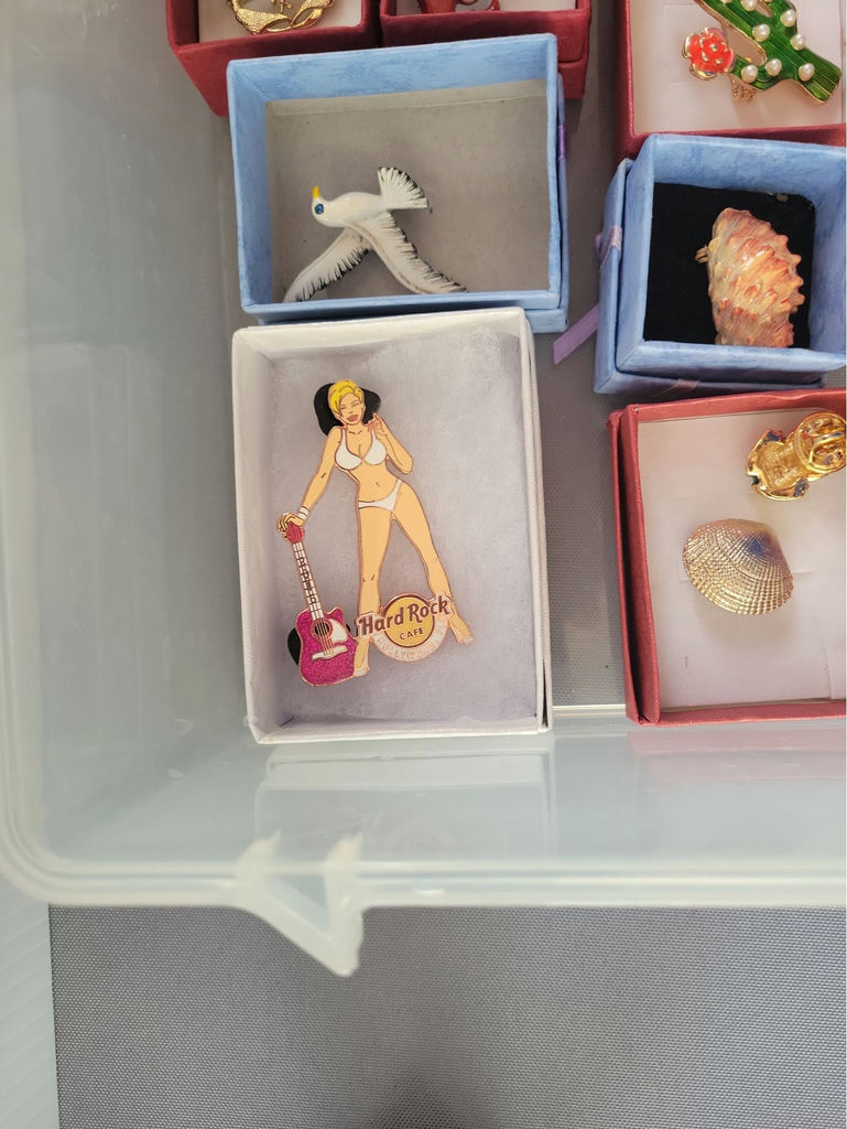 Assorted pins and brooches - image 10 of 21