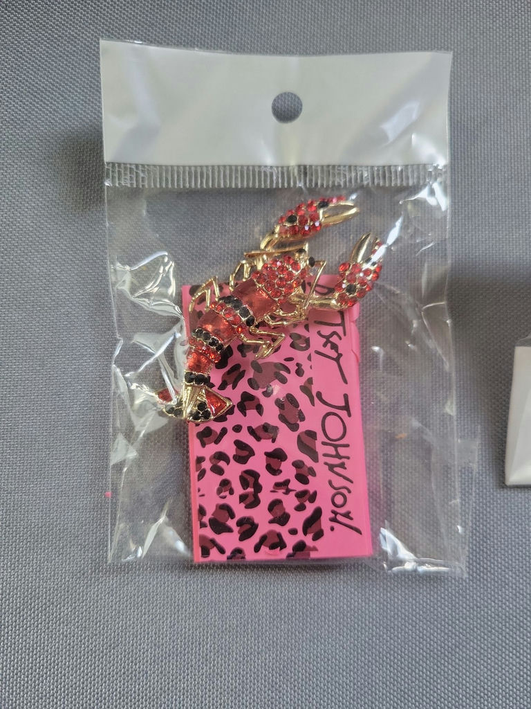 Betsy Johnson jewelry set: red rhinestone scorpion pin and multicolor hoop earrings - image 2 of 6