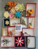 Assorted Brooches and Pins - thumbnail 1 of 18