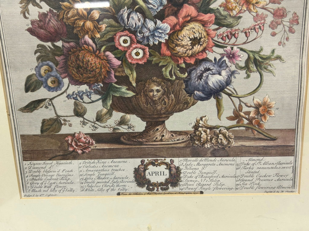 A Group of Two Botanical Art - image 8 of 8