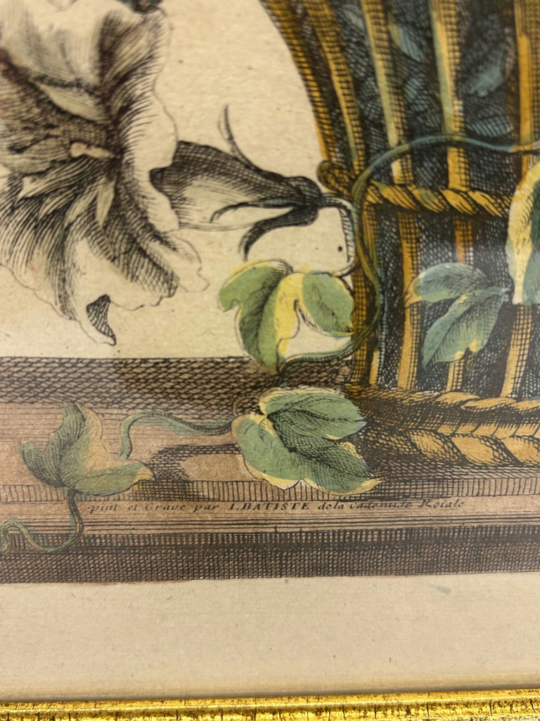 A Group of Two Botanical Art  - image 3 of 8