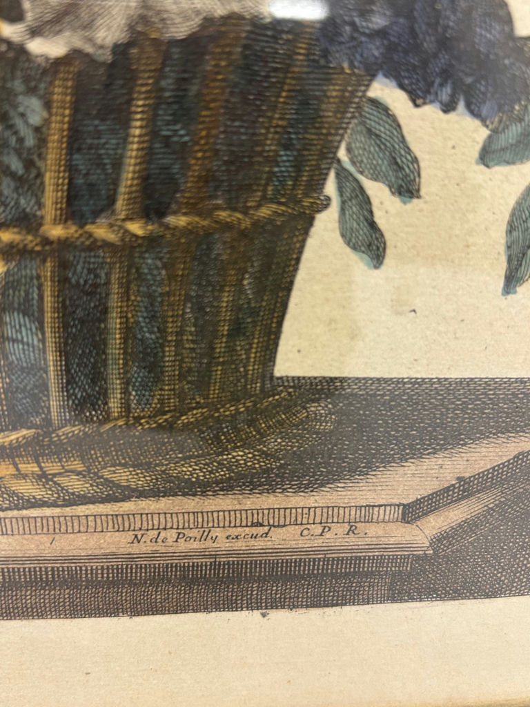 A Group of Two Botanical Art - image 5 of 8