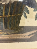 A Group of Two Botanical Art - thumbnail 5 of 8