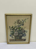 A Group of Two Botanical Art - thumbnail 2 of 8