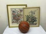 A Group of Two Botanical Art - thumbnail 6 of 8