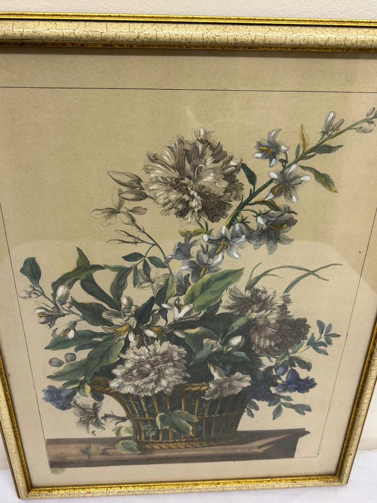 A Group of Two Botanical Art  - image 4 of 8