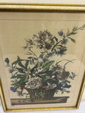 A Group of Two Botanical Art  - thumbnail 4 of 8
