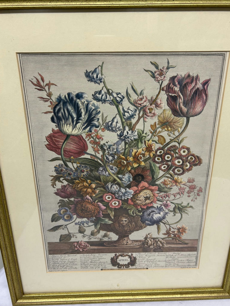 A Group of Two Botanical Art  - image 7 of 8