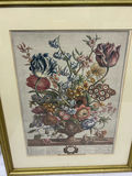 A Group of Two Botanical Art  - thumbnail 7 of 8