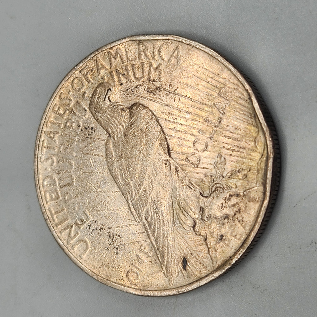 1922 US Silver Dollar - image 1 of 2