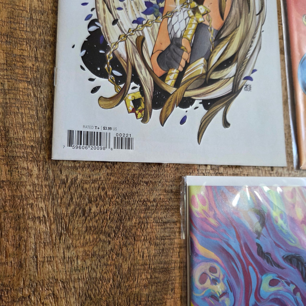 Valkyrie Comics - image 2 of 3