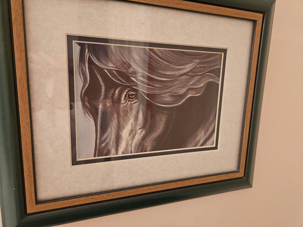 Set of 3 10" X 12" framed horse portraits - image 3 of 6