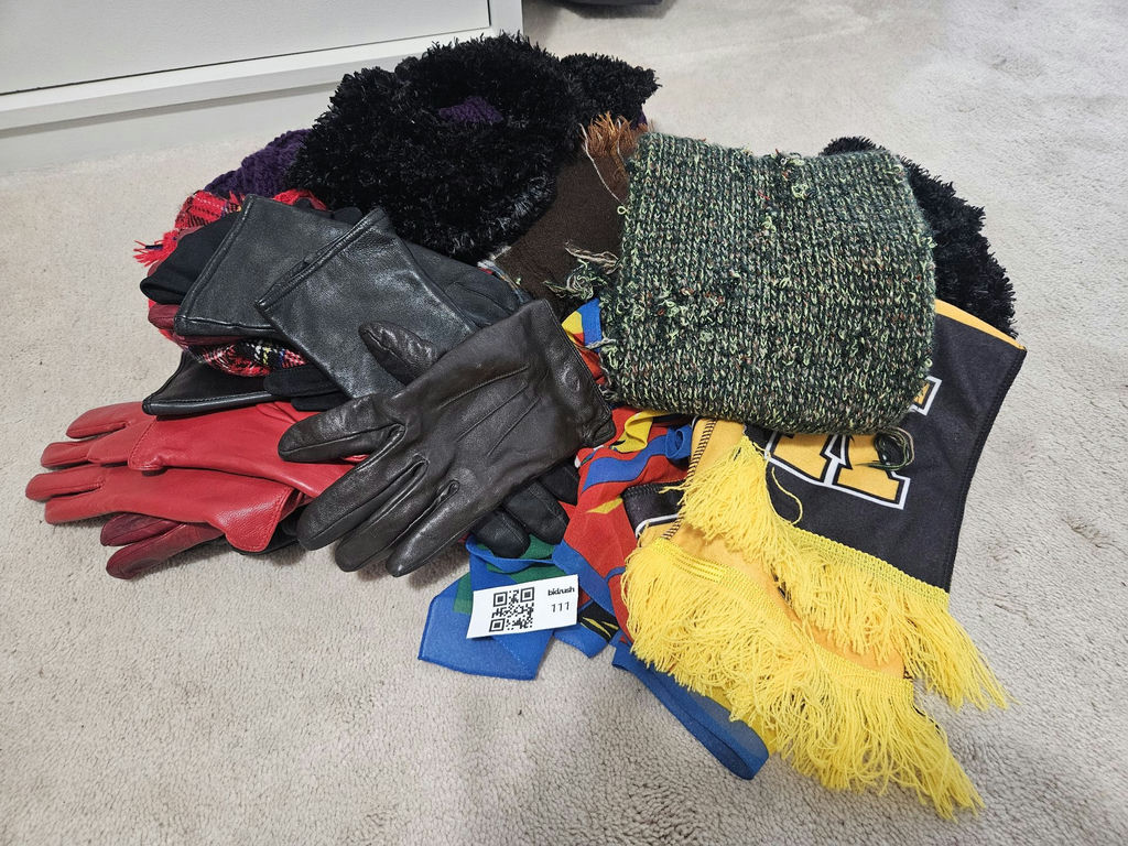 Assorted Winter Gloves and Scarves - image 1 of 6