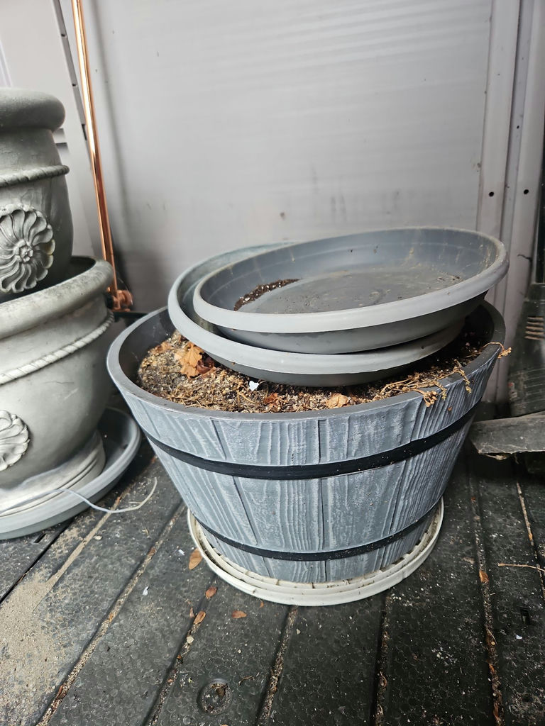 Yellow Sunflowers in Tall Planter with Assorted Garden Pots - image 3 of 8