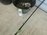 Yellow Sunflowers in Tall Planter with Assorted Garden Pots - thumbnail 7 of 8