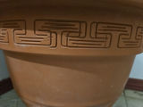 Tall faux cacti in terracotta pot - thumbnail 5 of 6