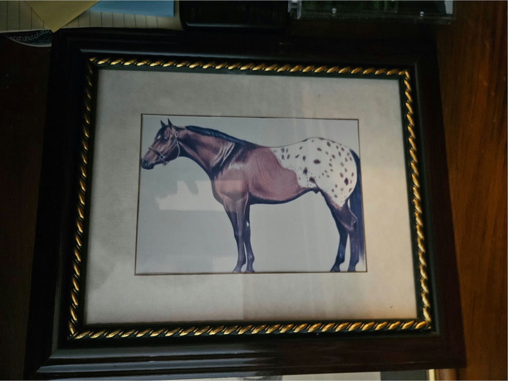 Framed animal artworks and other miscellaneous items - image 5 of 7
