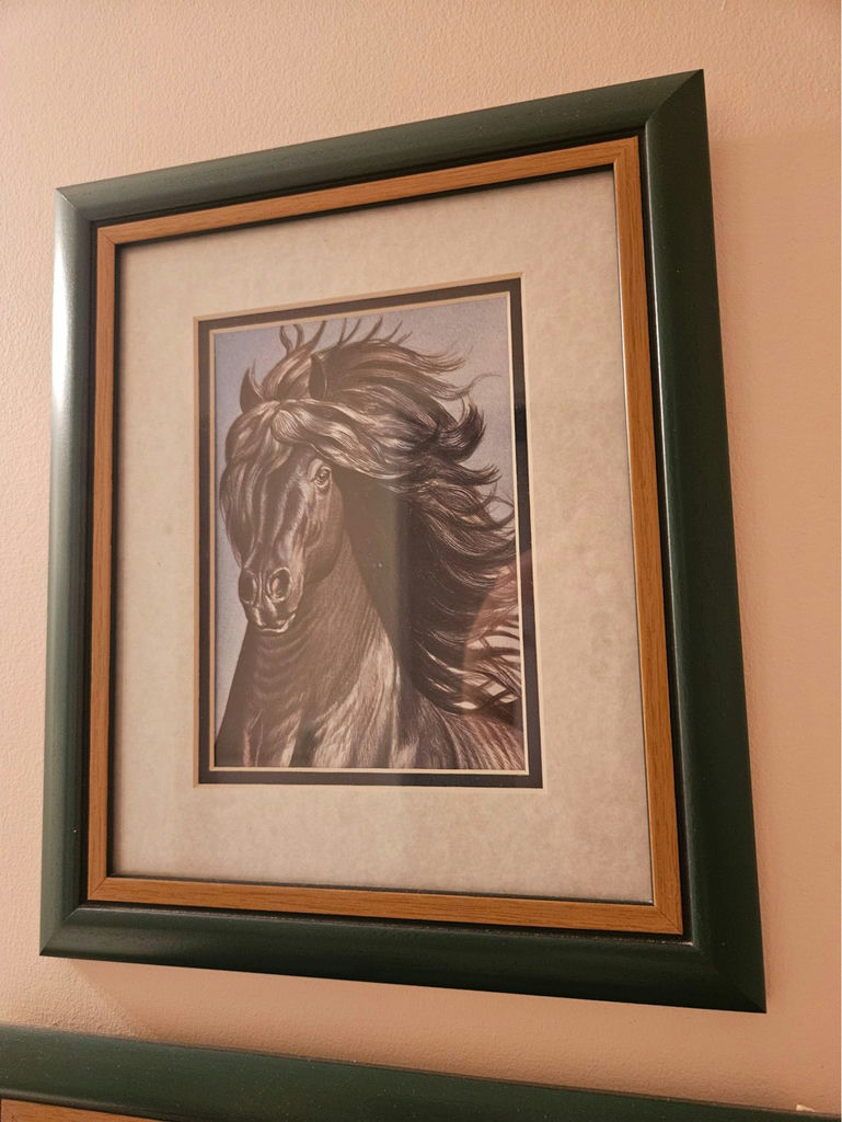 Set of 3 10" X 12" framed horse portraits - image 5 of 6