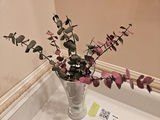 Glass vase with artificial eucalyptus stems - thumbnail 3 of 3