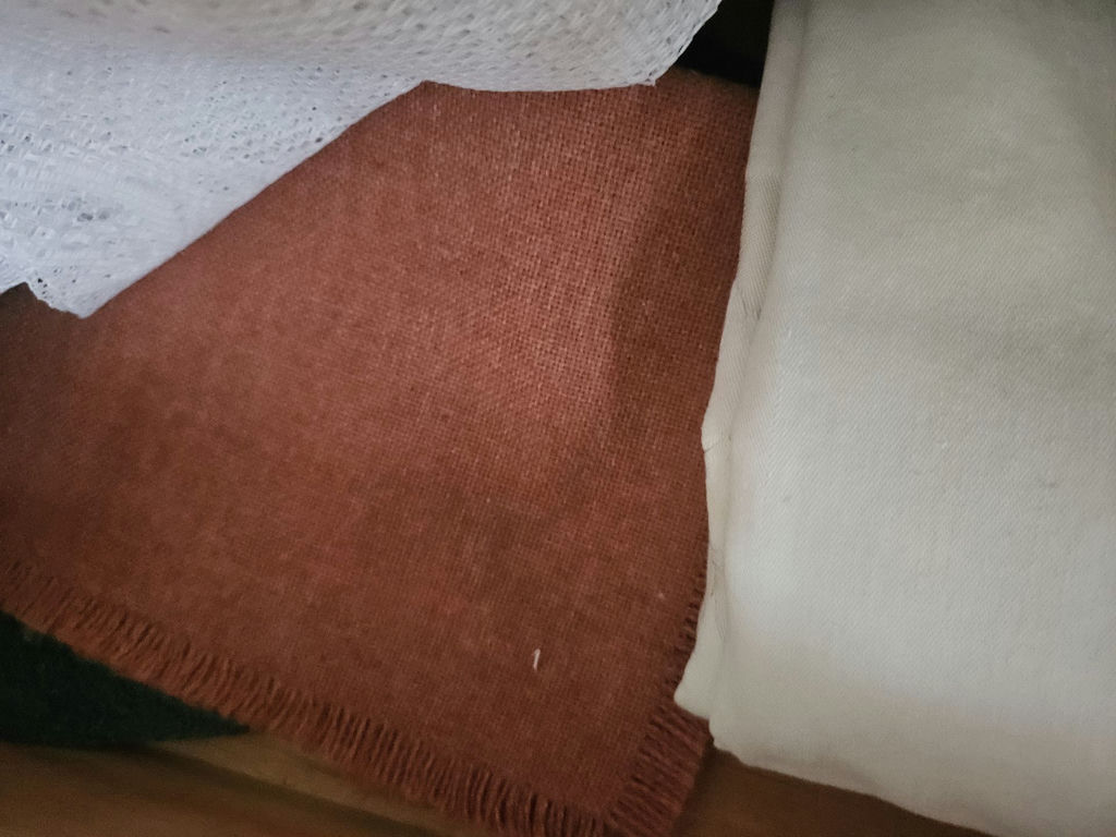Assorted tablecloths and place mats - image 6 of 7
