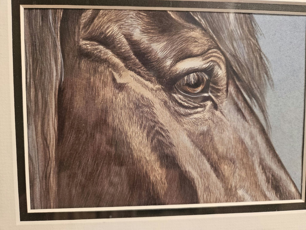 Set of 3 10" X 12" framed horse portraits - image 2 of 6