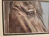 Set of 3 10" X 12" framed horse portraits - thumbnail 2 of 6