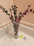 Glass vase with artificial eucalyptus stems - thumbnail 1 of 3