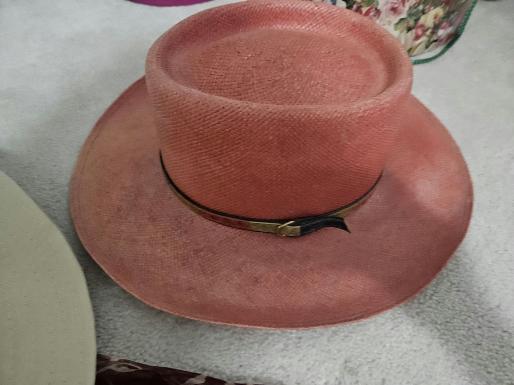 Assorted Hats and a Floral Hatbox - image 4 of 8