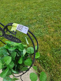 Heart-shaped wrought iron plant stand with a potted faux green plant and a Welcome sign - thumbnail 3 of 3