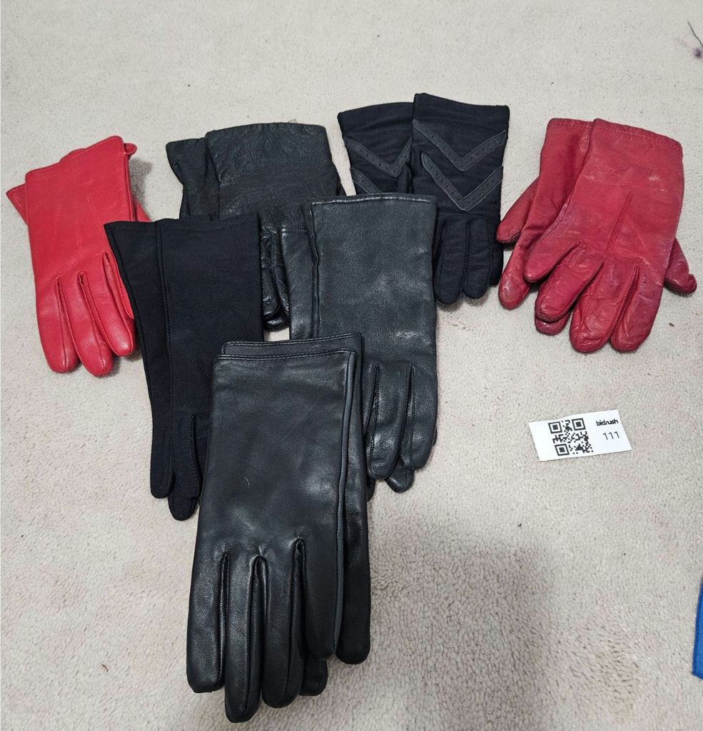 Assorted Winter Gloves and Scarves - image 6 of 6