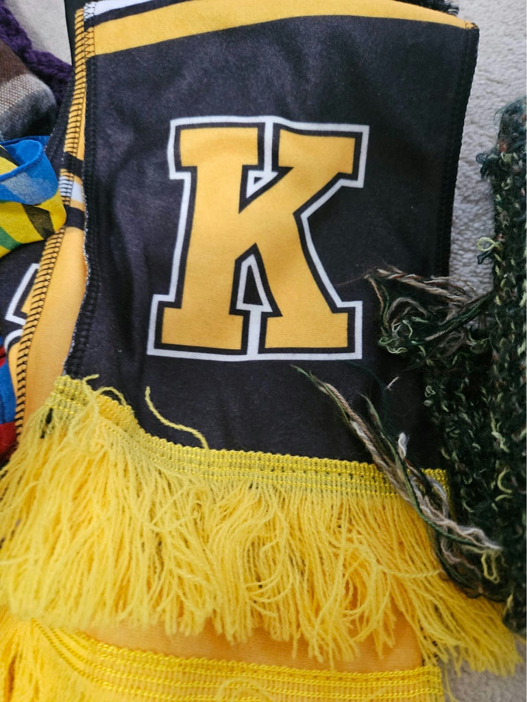 Assorted Winter Gloves and Scarves - image 2 of 6