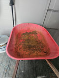 Red wheelbarrow with wooden handles - thumbnail 2 of 4