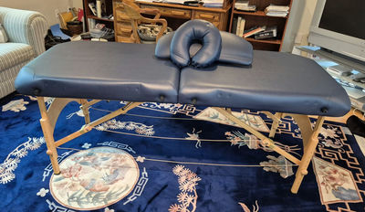 LifeGear Portable Folding Massage Table with Carrying Case - Image 1 of 8